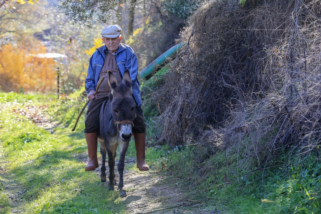 Slijepi 82-godišnjak iz Turske već 24 godine sam prelazi dva kilometra između grada i sela, oslanjajući se na vjernog magarca kojeg naziva svojim očima i ušima.