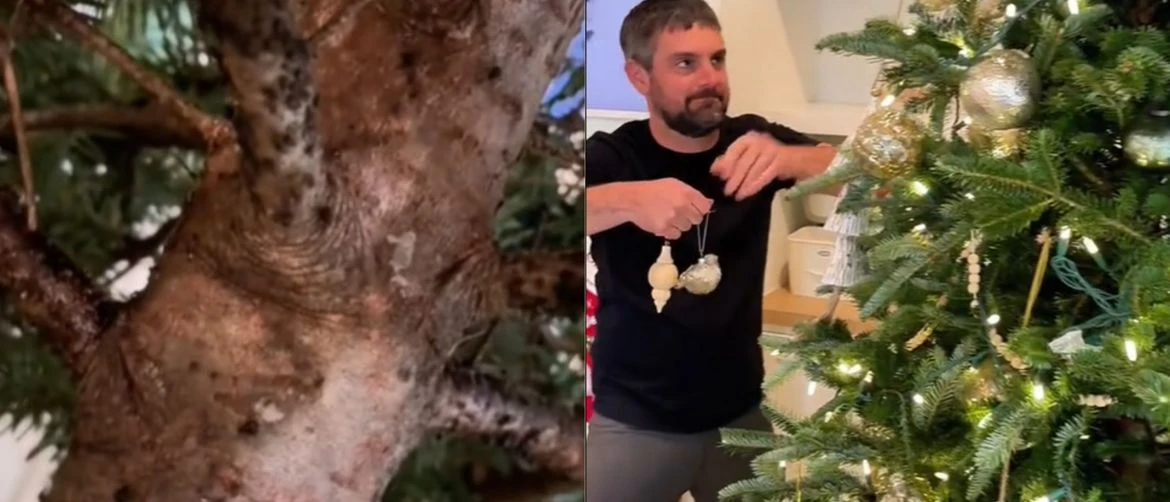 Pojavili se nepoželjni "gosti" na božićnom drvcu: Nije ni čudo što su ga odmah uklonili