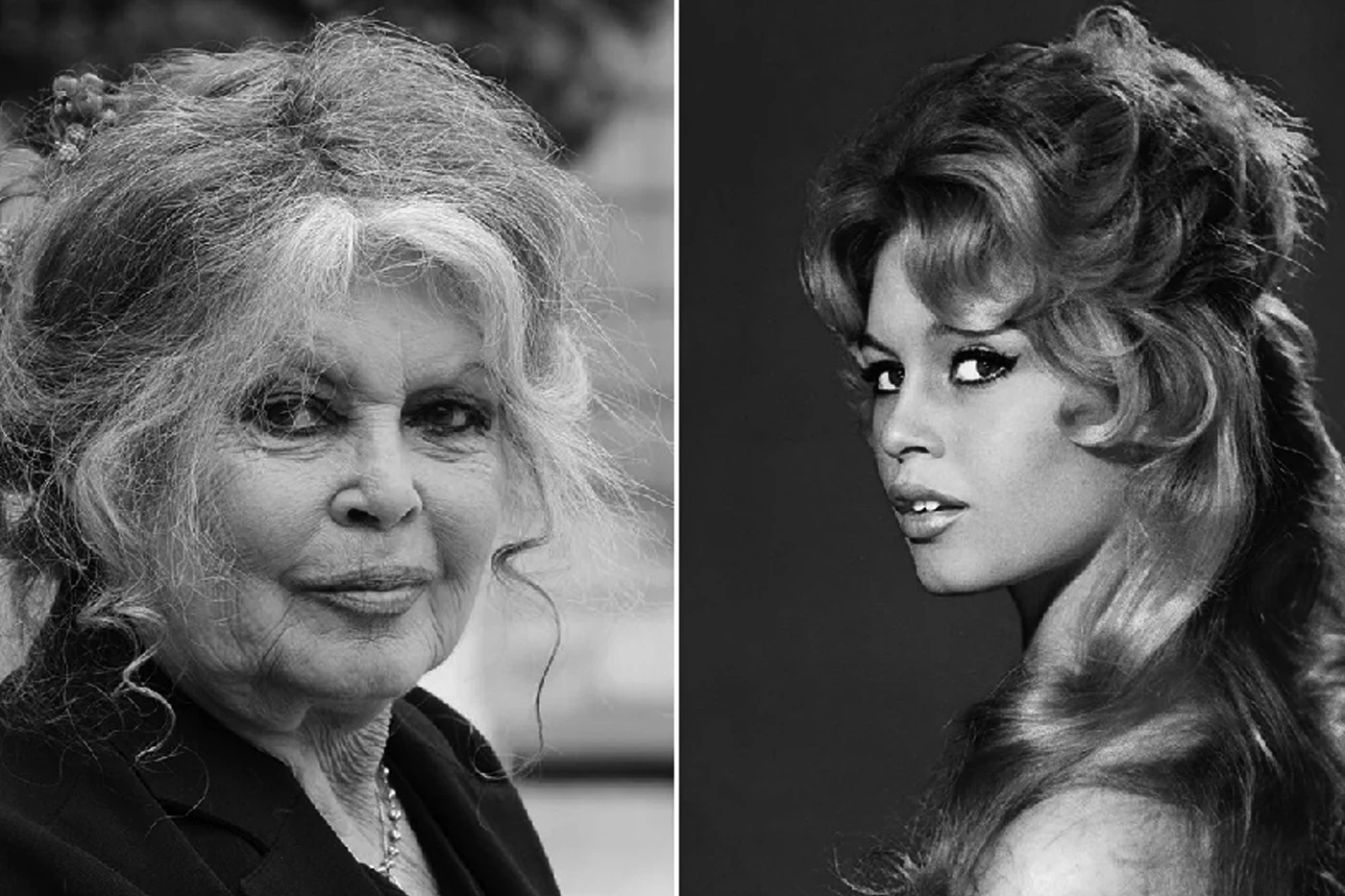 Umrla je Brigitte Bardot