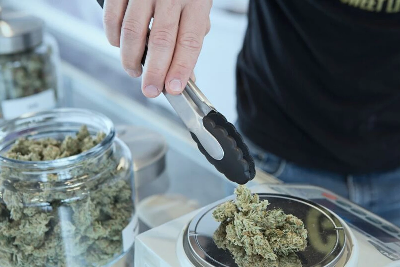 Što se može, a što ne: Što znači odluka Vijeća ministara o "legalizaciji" kanabisa