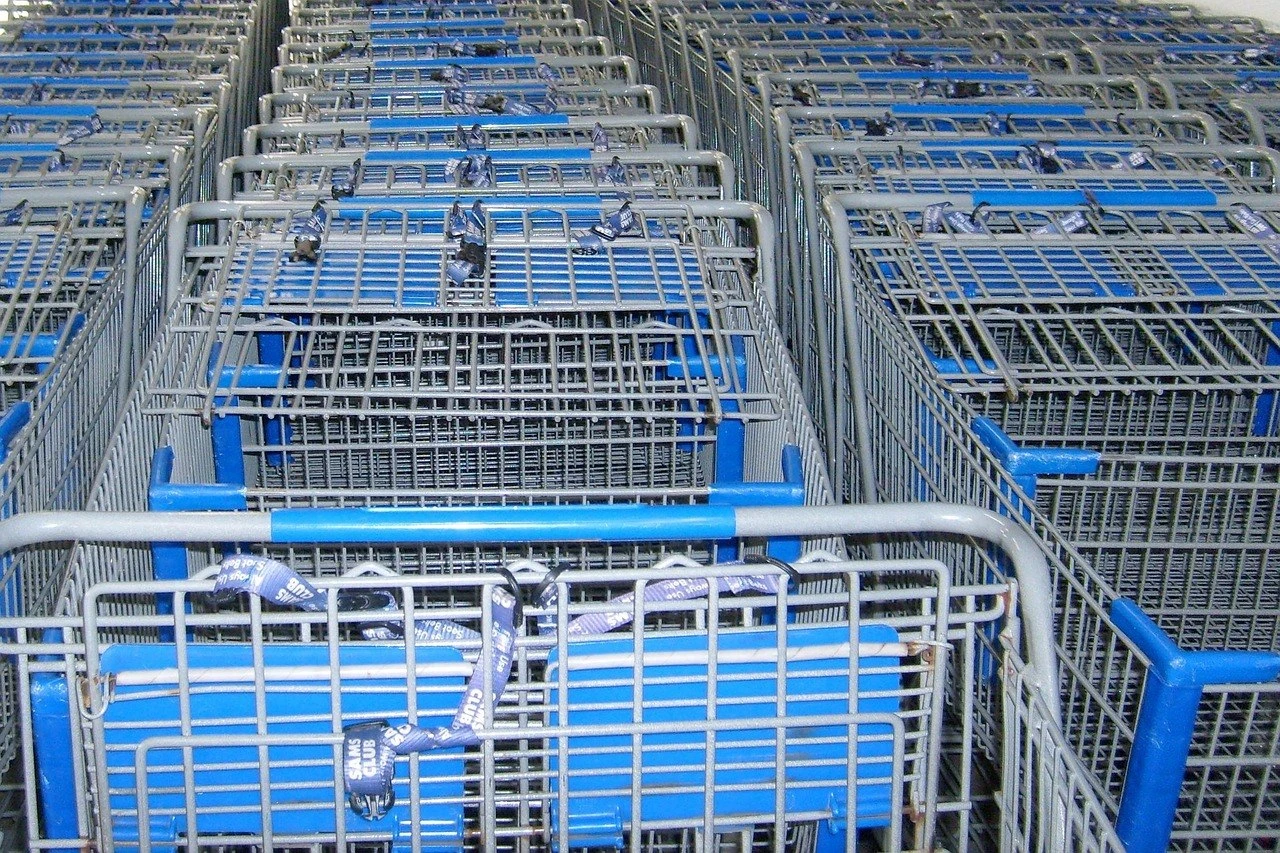 Pismo prodavačice Vladi i kupcima: Bez čega se to ne može dva dana?