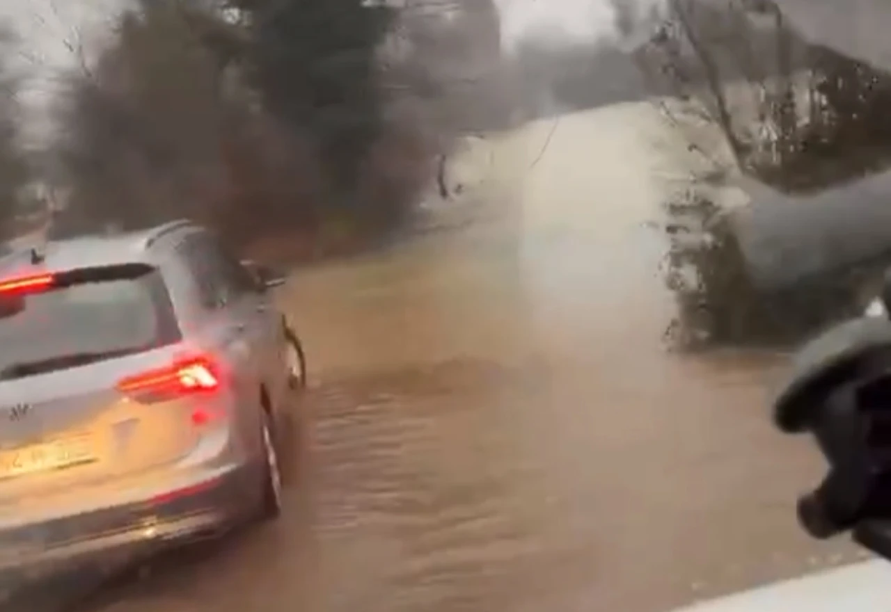 VIDEO | Buna se izlila iz korita