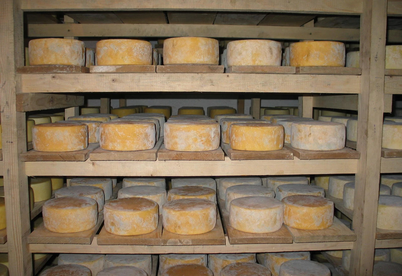 Livanjski sir ponovno nagrađen priznanjem Superior Taste Award