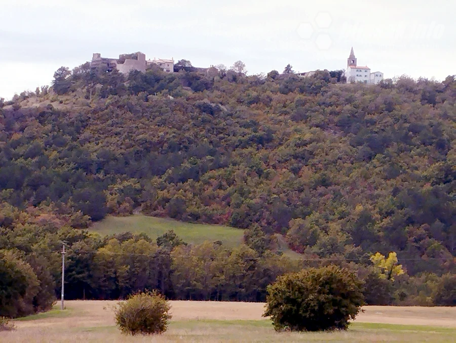 Boljun