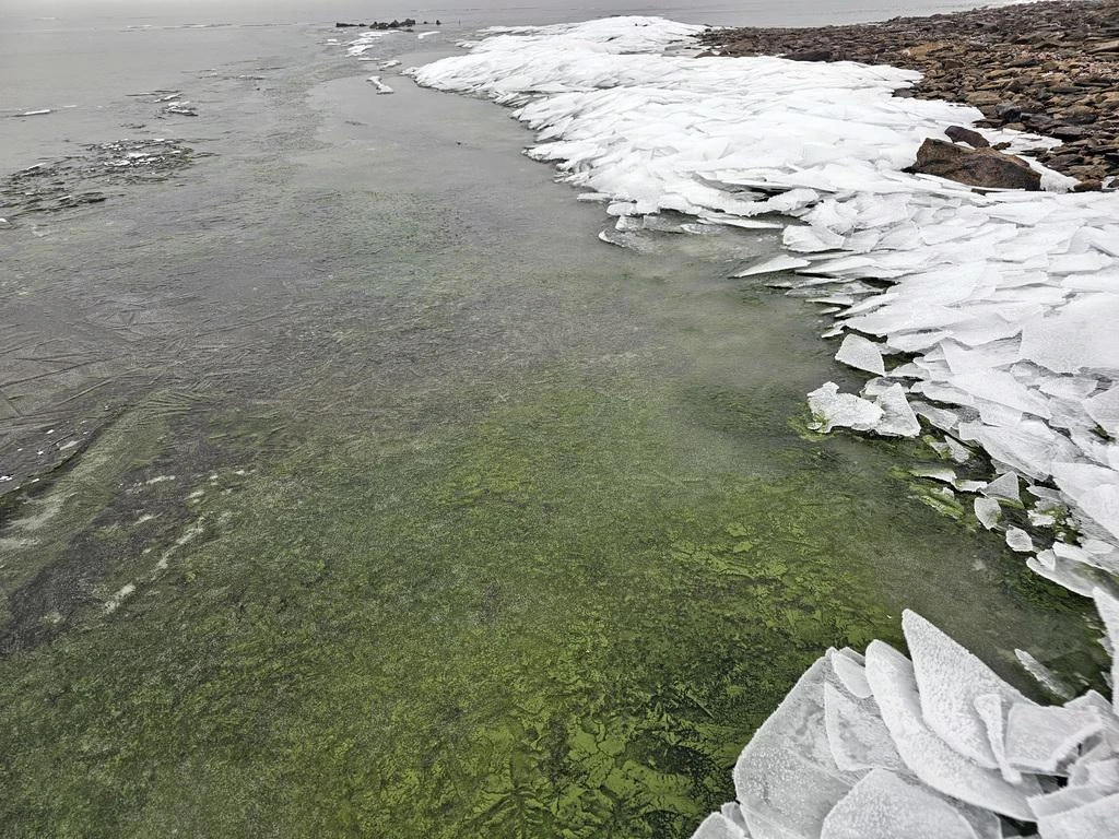 FOTO | Zeleni led okovao Lipno