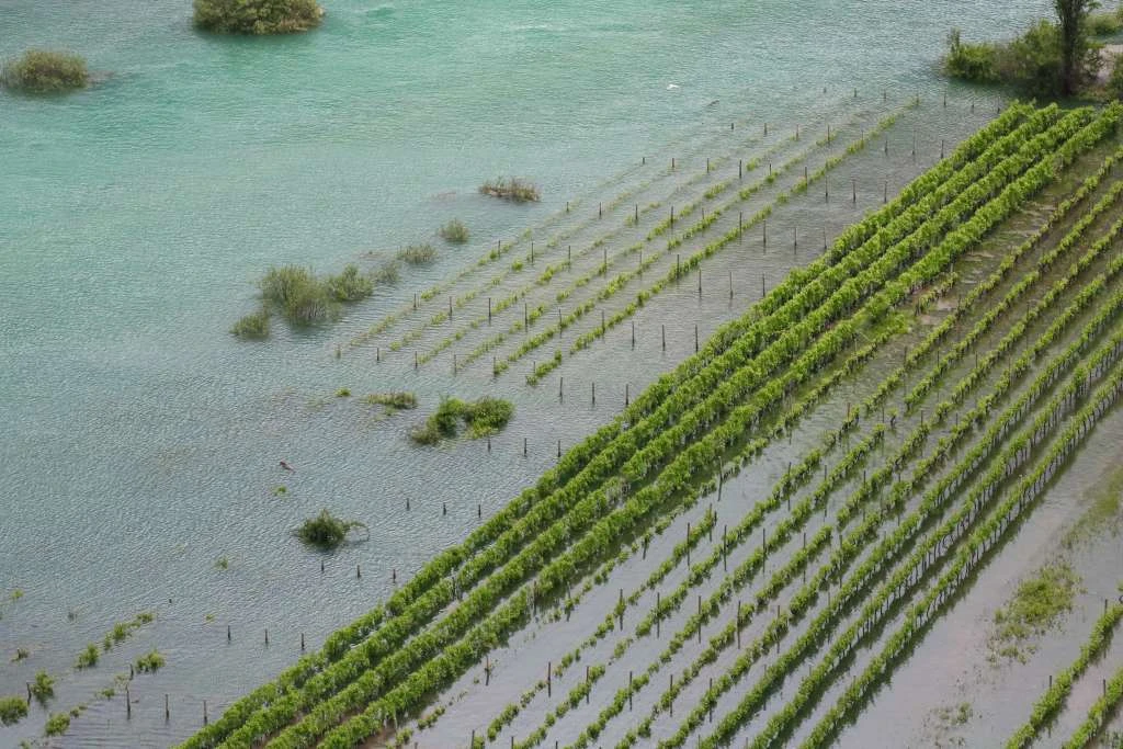 Cesta između Vrgorca i Ljubuškog i vrgorački most od jutros su pod vodom