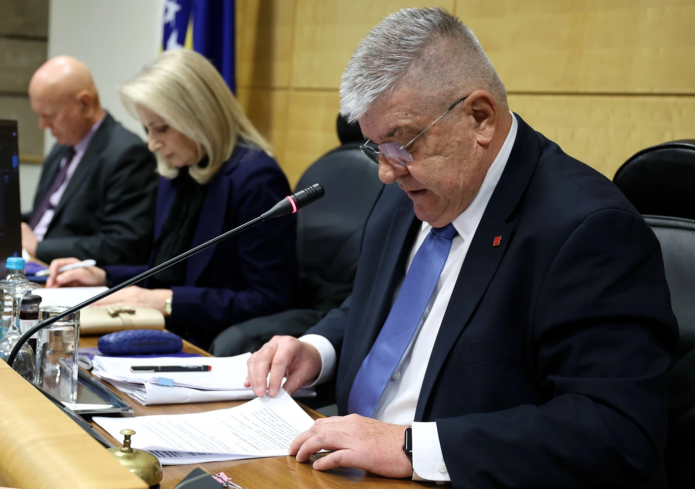 Bolesni umovi
