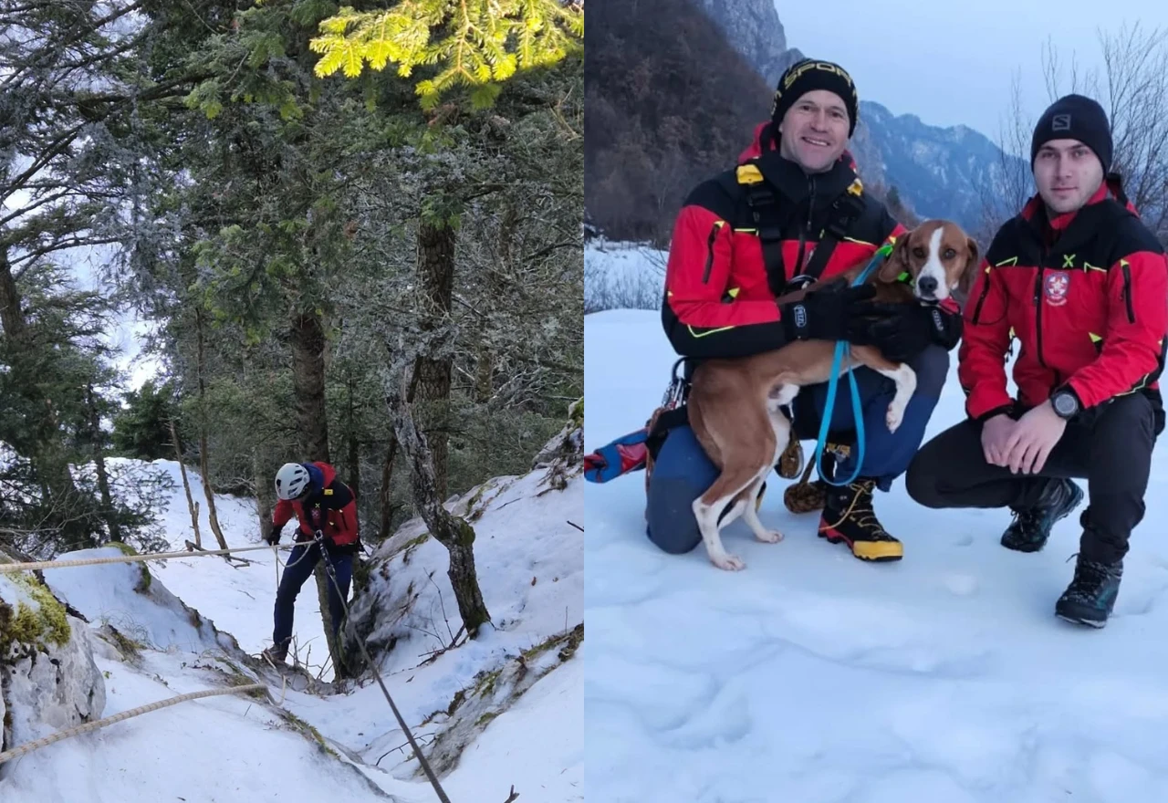 Uspješna akcija GSS-a Jablanica: Spašen lovački pas iz stijena Čvrsnice