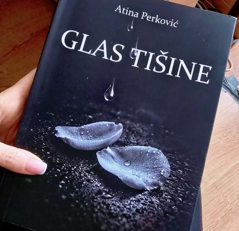 Iz tiska izlazi prva knjiga koja obrađuje temu femicida i nasilja nad ženama u BiH