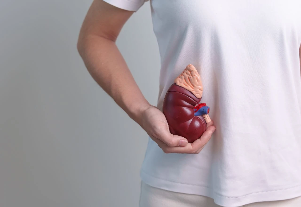 Tisuće transplantacija godišnje: Članstvo u Eurotransplantu spašava živote