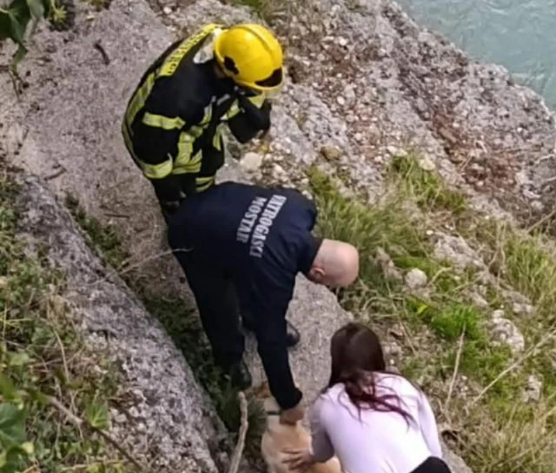 Mostarski vatrogasci spasili psa: "Heroji postoje i nose vatrogasne uniforme"