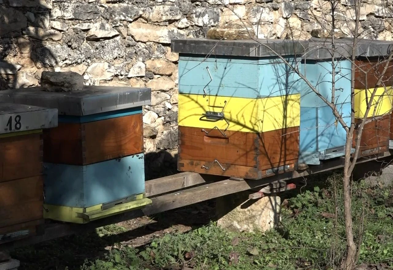 VIDEO | Na Buni niče prvi pčelinjak za rehabilitaciju žrtava mina i osoba s invaliditetom