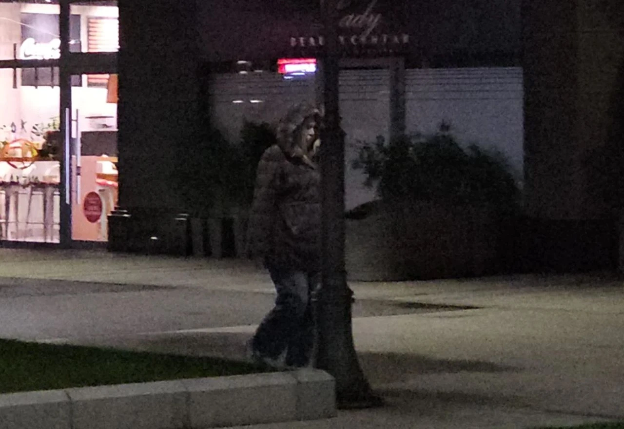 Milica Todorović