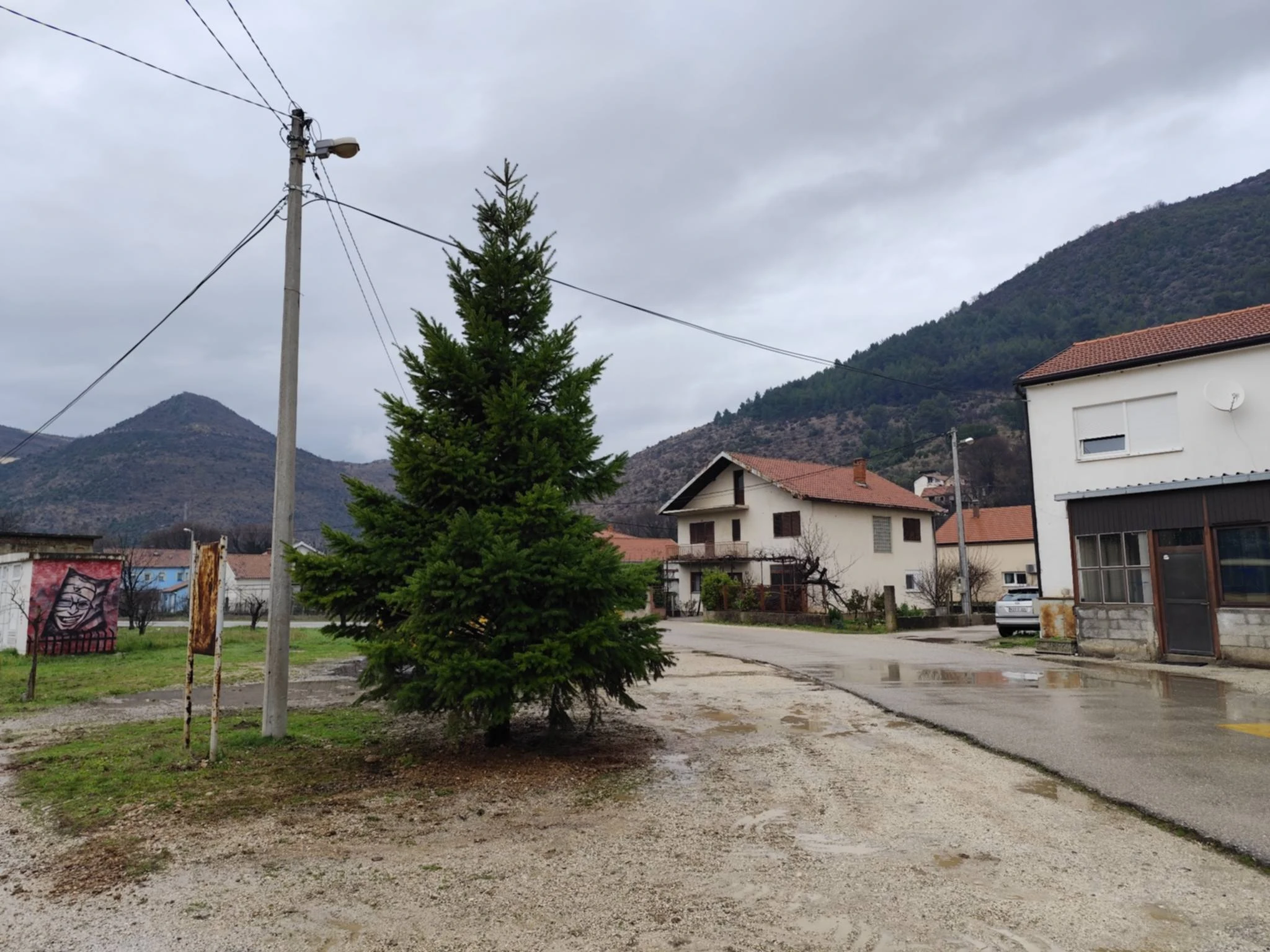 Pozitivan primjer iz Rodoča: Bor s buduće južne obilaznice presađen uz igralište
