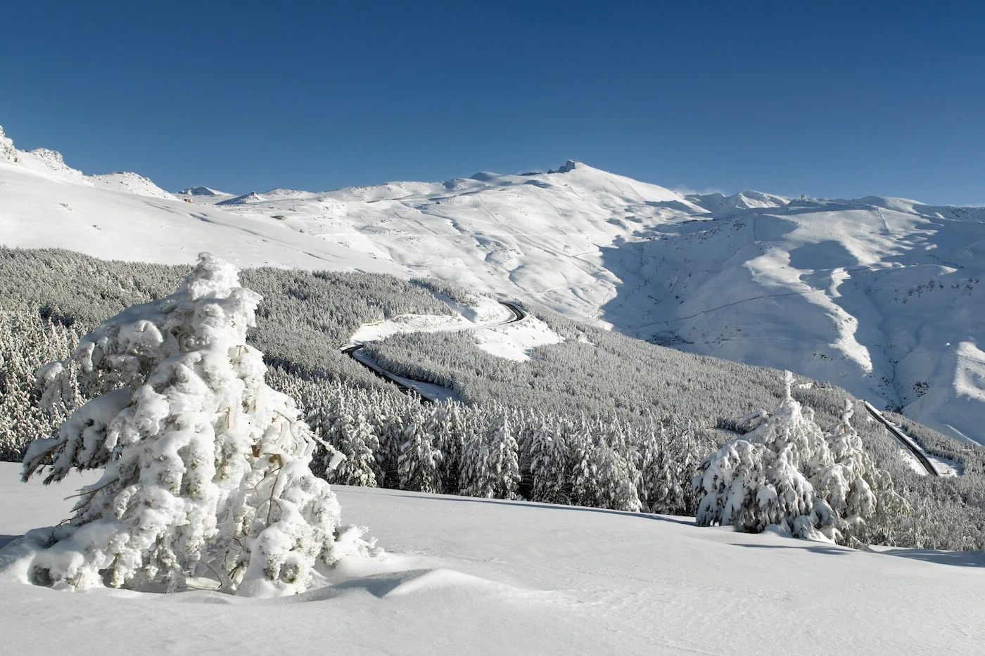 Deset skijaša nestalo, najmanje šest zarobljeno u lavini