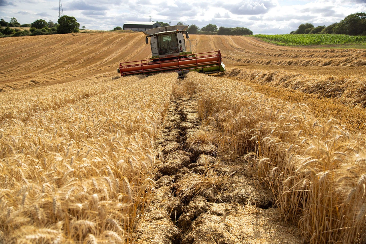 Agroindustrija BiH u 2025. bilježi deficit od 4,24 milijarde KM