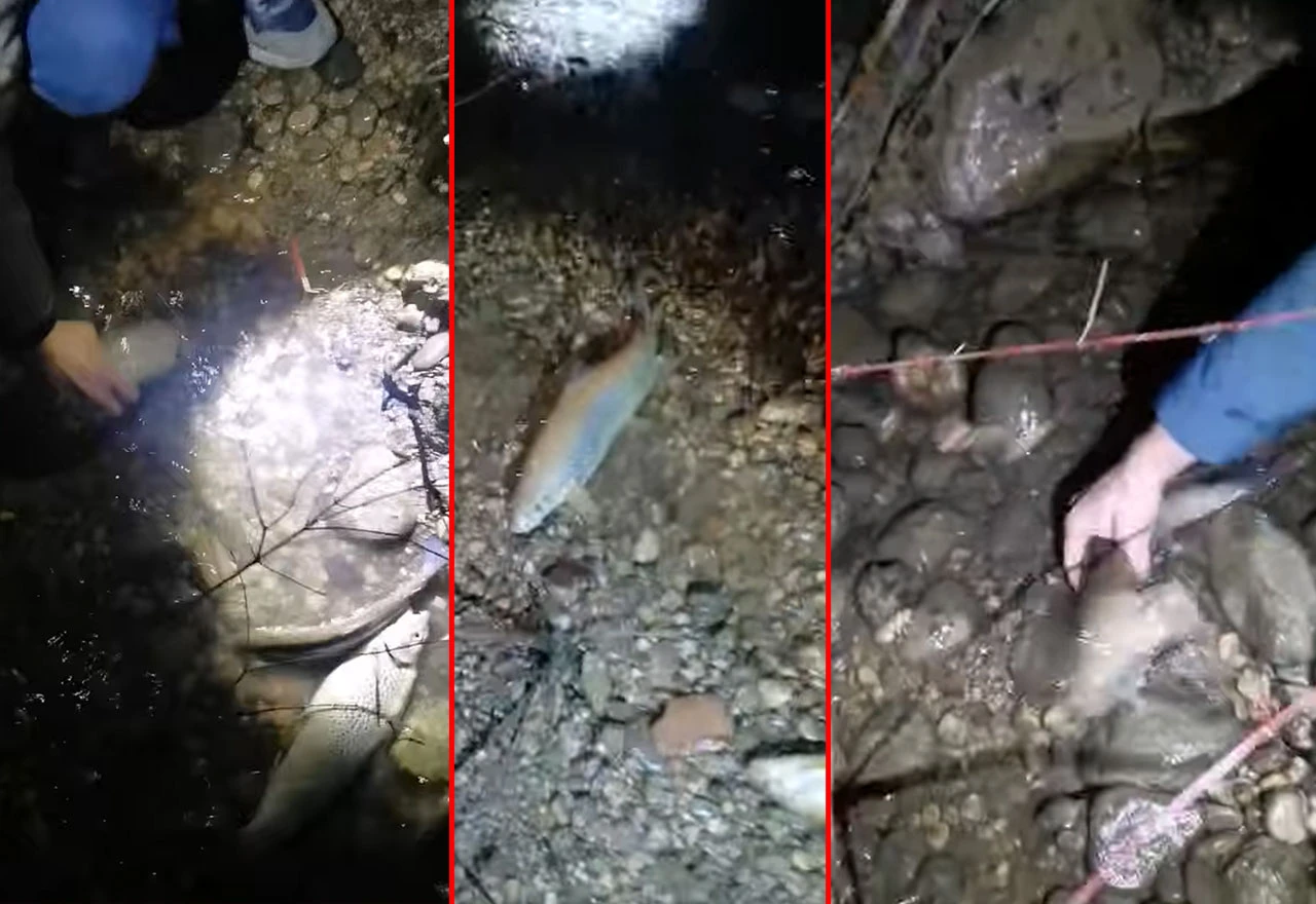 Dramatična noć na Neretvi: Vodostaj pao 215 cm, ribari spašavali pastrmku iz lokvi