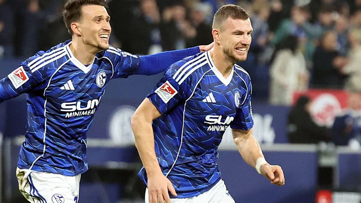 Džeko strijelac i asistent, jedan gol Ljubičića, slavlje Schalkea