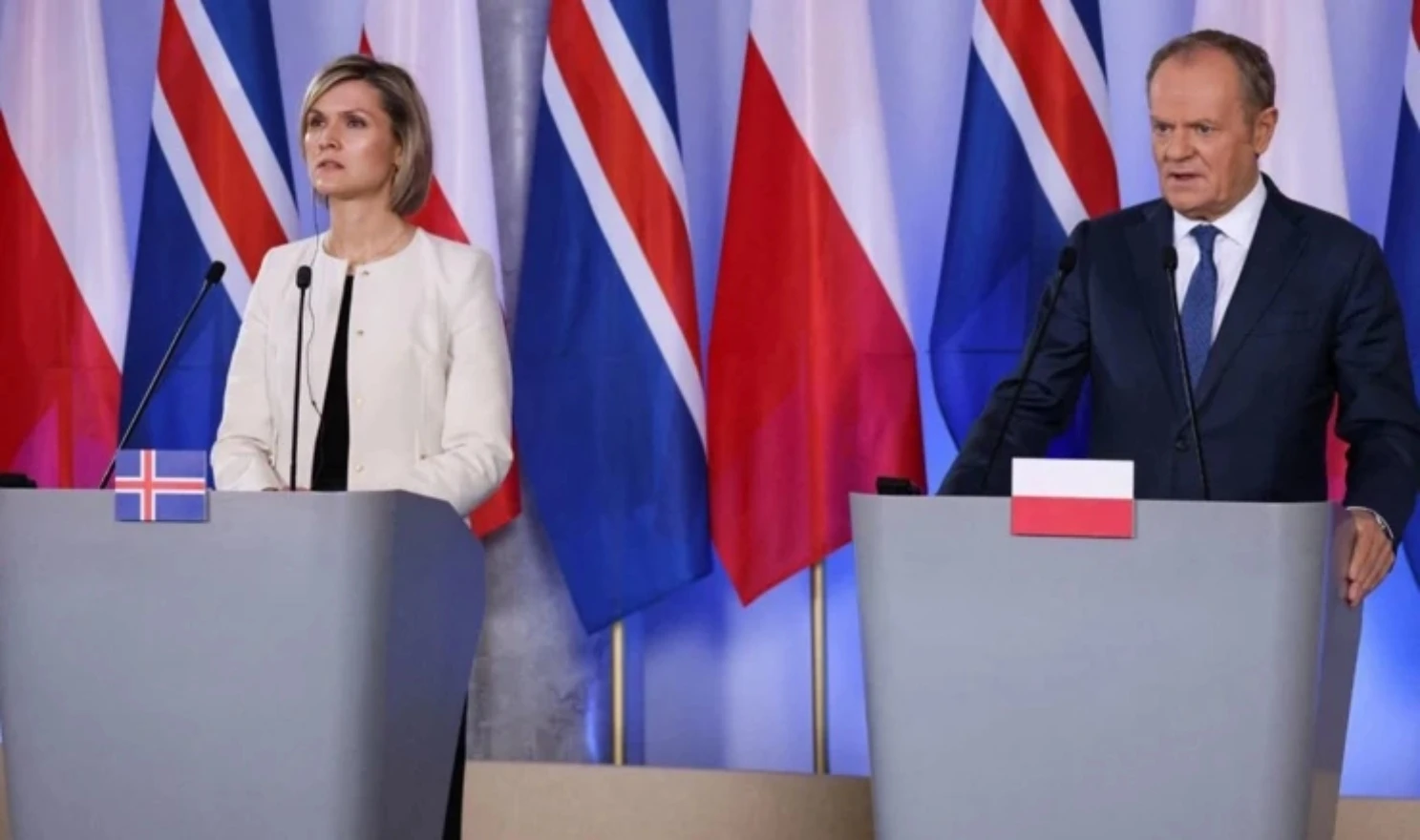 Island najavio referendum o pristupanju EU-u