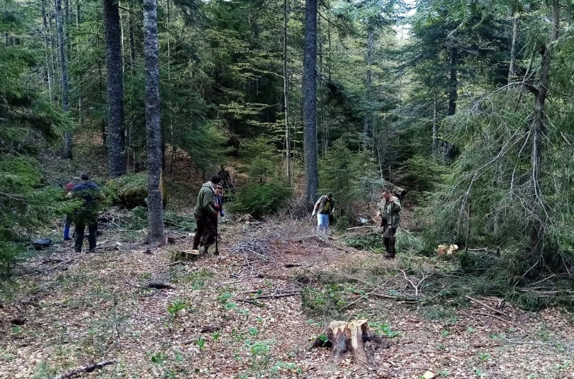 Ljubuški: Akcija pošumljavanja Boranke, planirana sadnja 2.000 sadnica crnog bora
