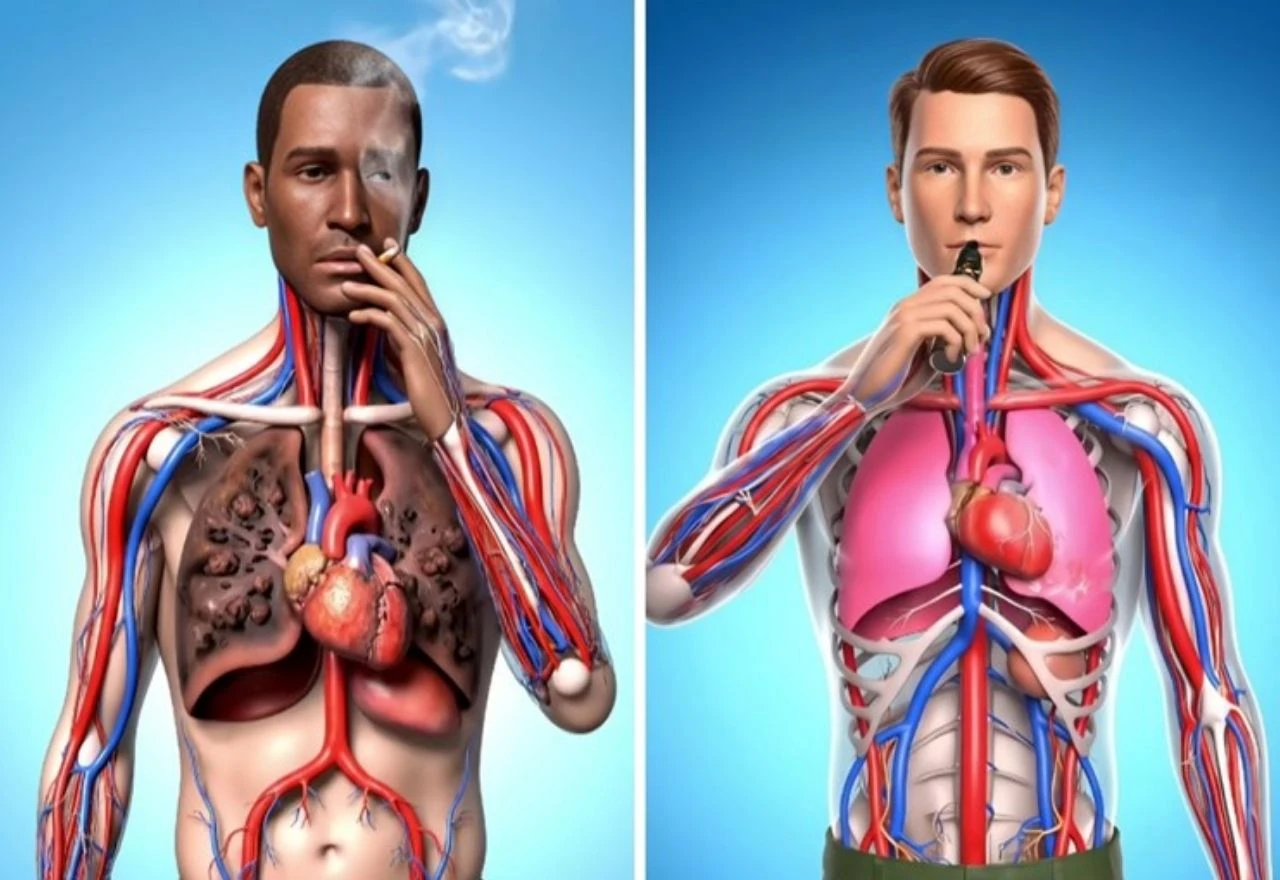 Pušenje ili vape? Rezultati simulacije otkrili što je gore za tijelo