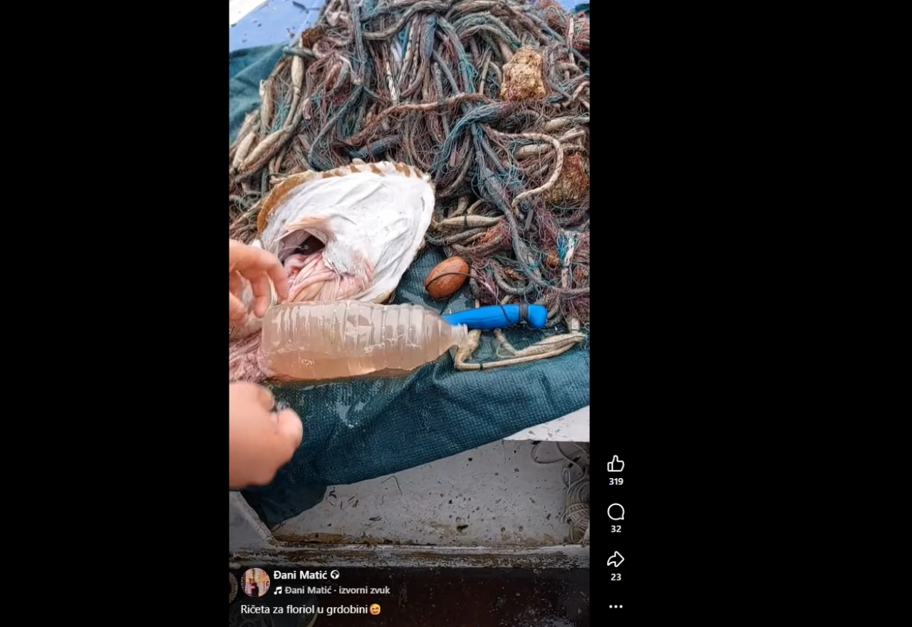 Ulov iz Jadranskog mora: U ribi pronašao plastičnu bocu