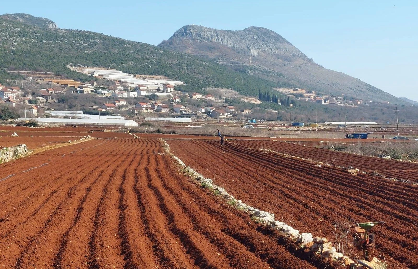 Ljubušaci zasadili 85% planirane količine krumpira, sada priželjkuju kišu