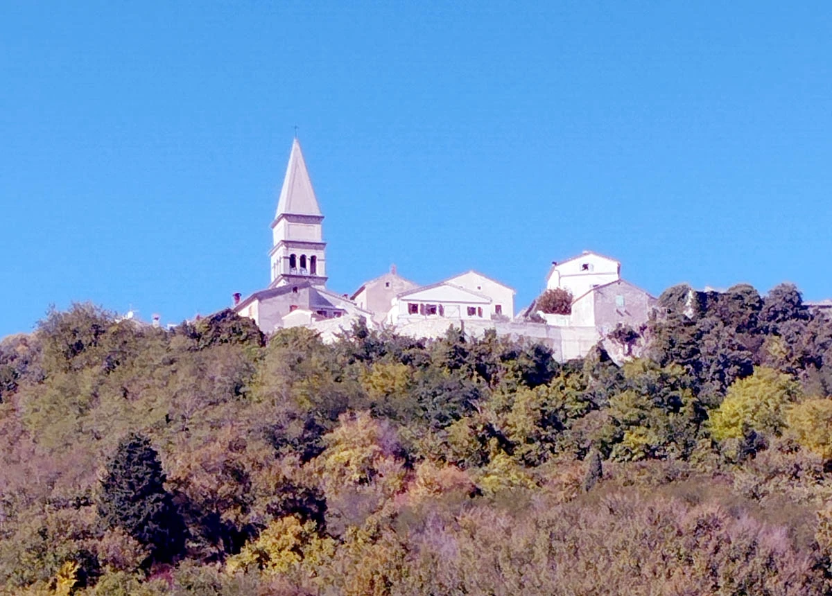 Pićan: Biskupi ''od lješnjaka'' i trnoplesari