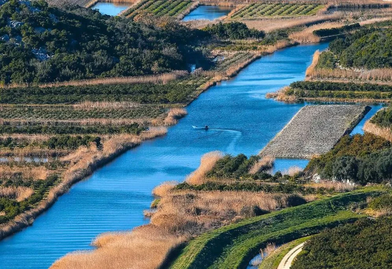 Misteriozni stanovnik delte Neretve mogao bi opasno naštetiti ekosustavu