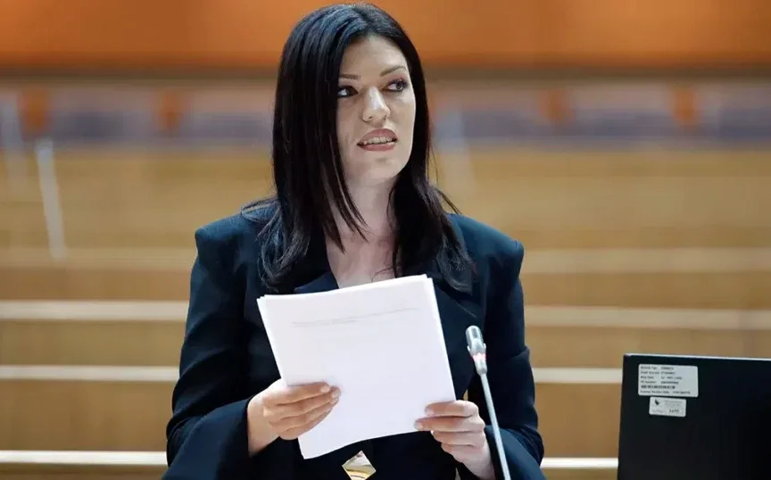 Vulić: Ustav BiH je najmoderniji na svijetu, diskriminacije nema