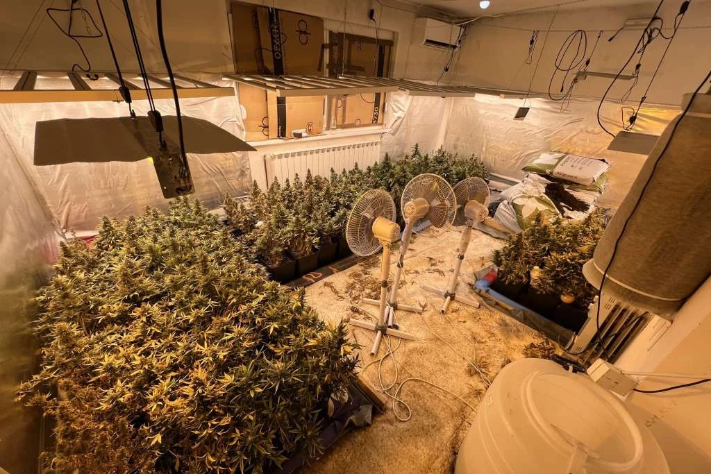 Policija razbila laboratorije za drogu, pronađeno više kilograma marihuane