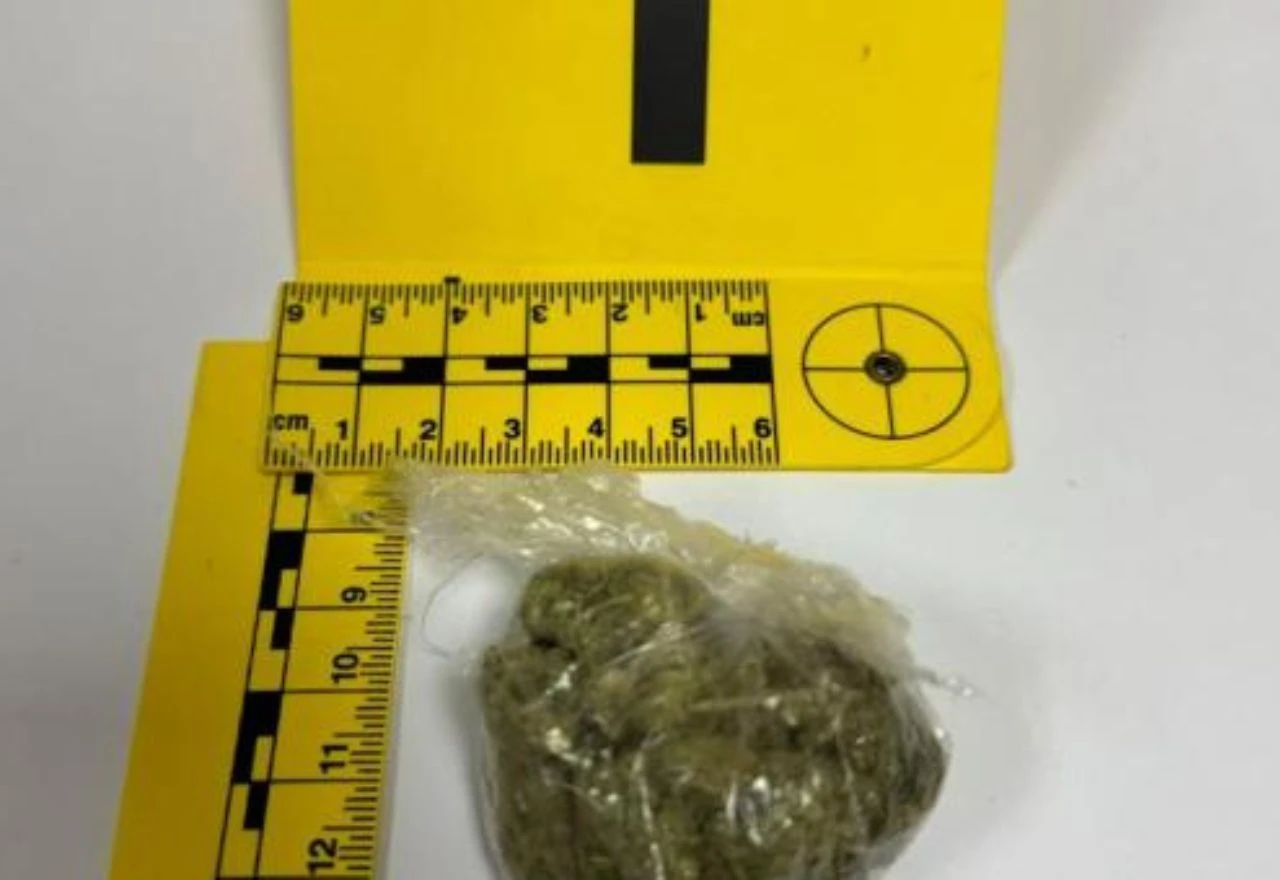 Kod Mostarca i Splićanina pronađena marihuana u Širokom Brijegu
