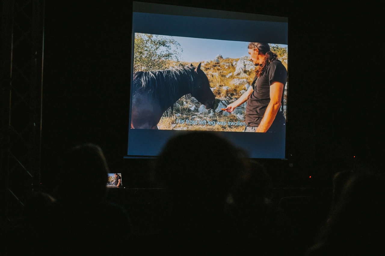 FOTO | Priča o ljepoti, ali i o patnji: U Mostaru premijerno prikazan film o livanjskim konjima