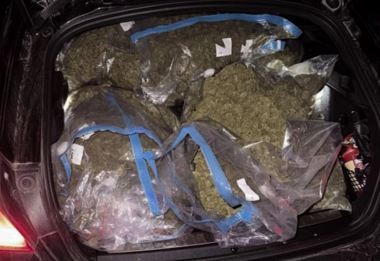 Policija zaplijenila 50 kilograma marihuane