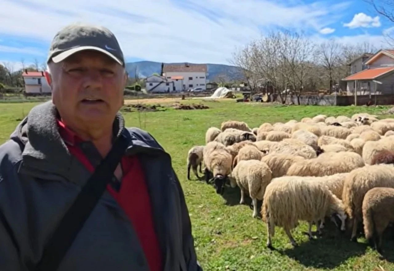 VIDEO | Radio 35 godina u Švicarskoj pa se vratio u Ljubuški i čuva ovce: "Nije tamo novac na grani"