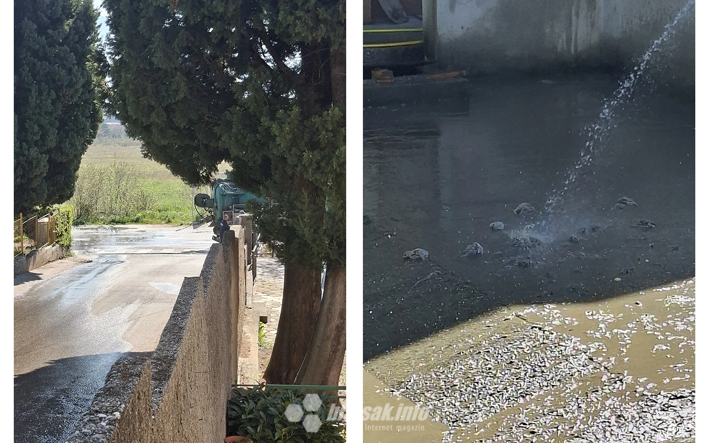 Fekalije u Rodoču