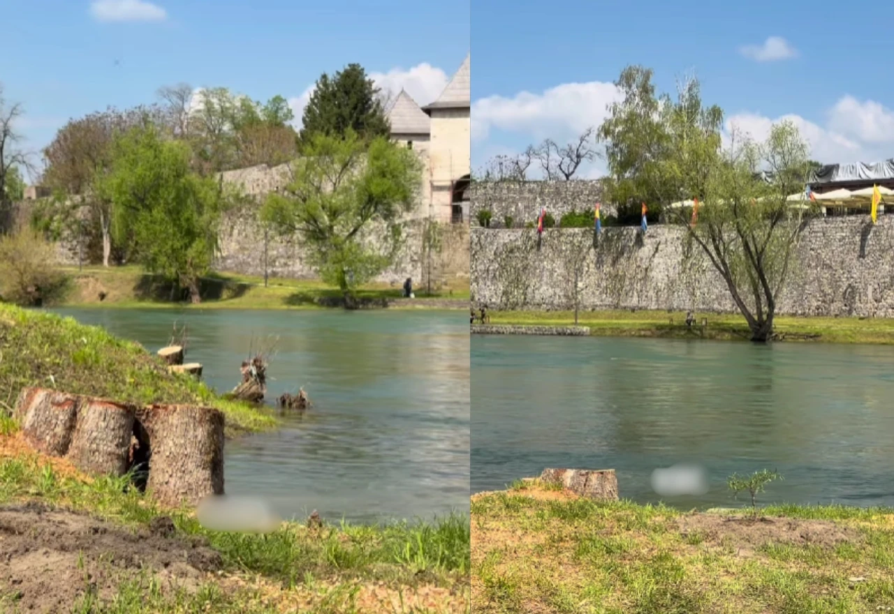Novi ekocid u BiH: Banja Luka posjekla 25 stabala uz Vrbas