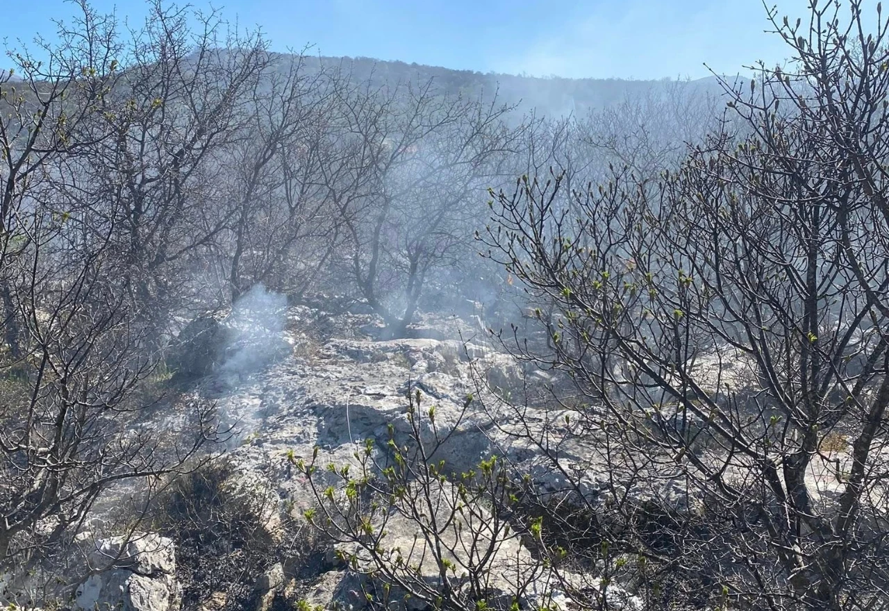Mostarski vatrogasci imali pune ruke posla, gorjelo na više lokacija