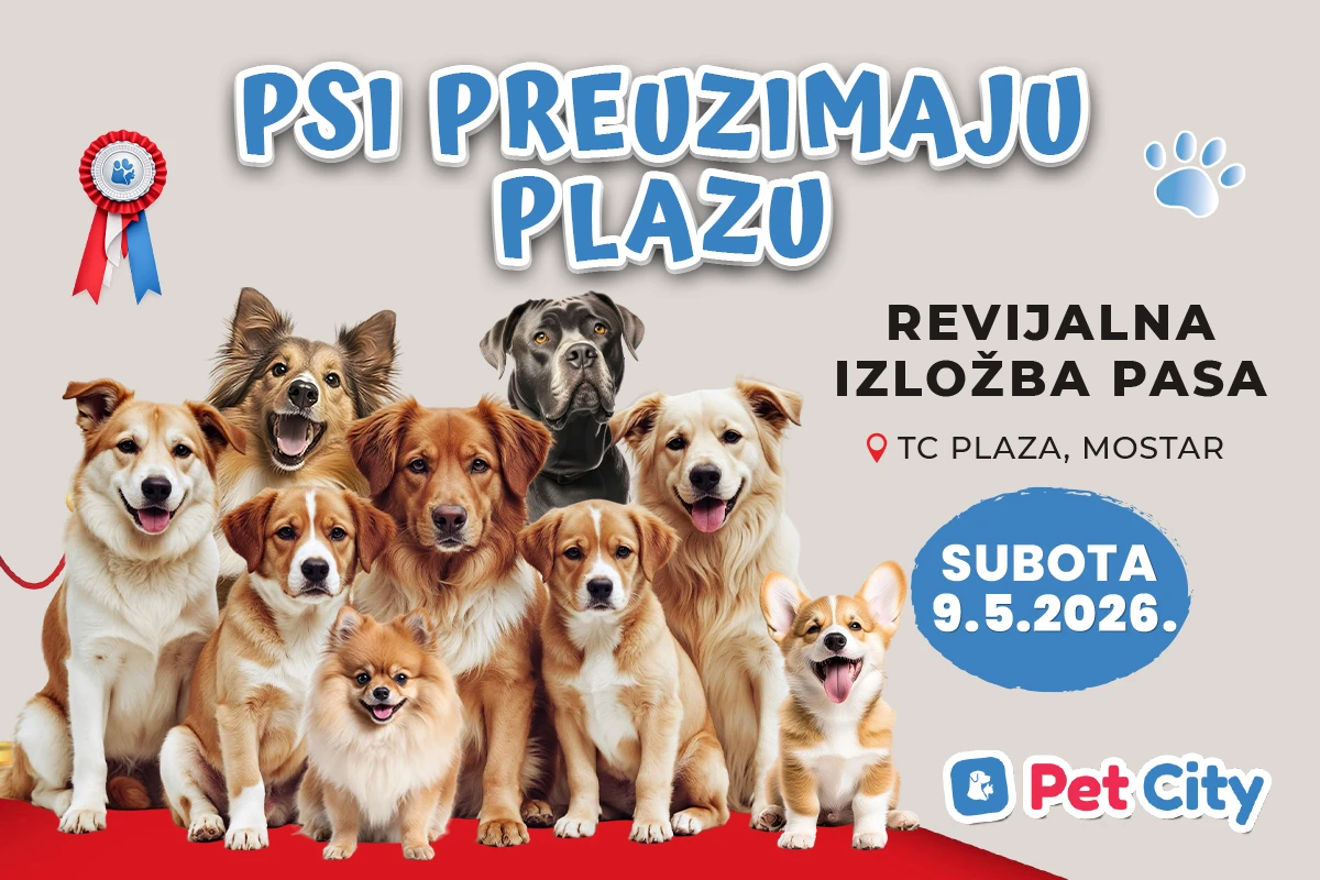 Psi preuzimaju Plazu:Pet City organizira Revijalnu izložbu pasa 9.5. u TC Plaza Mostar!
