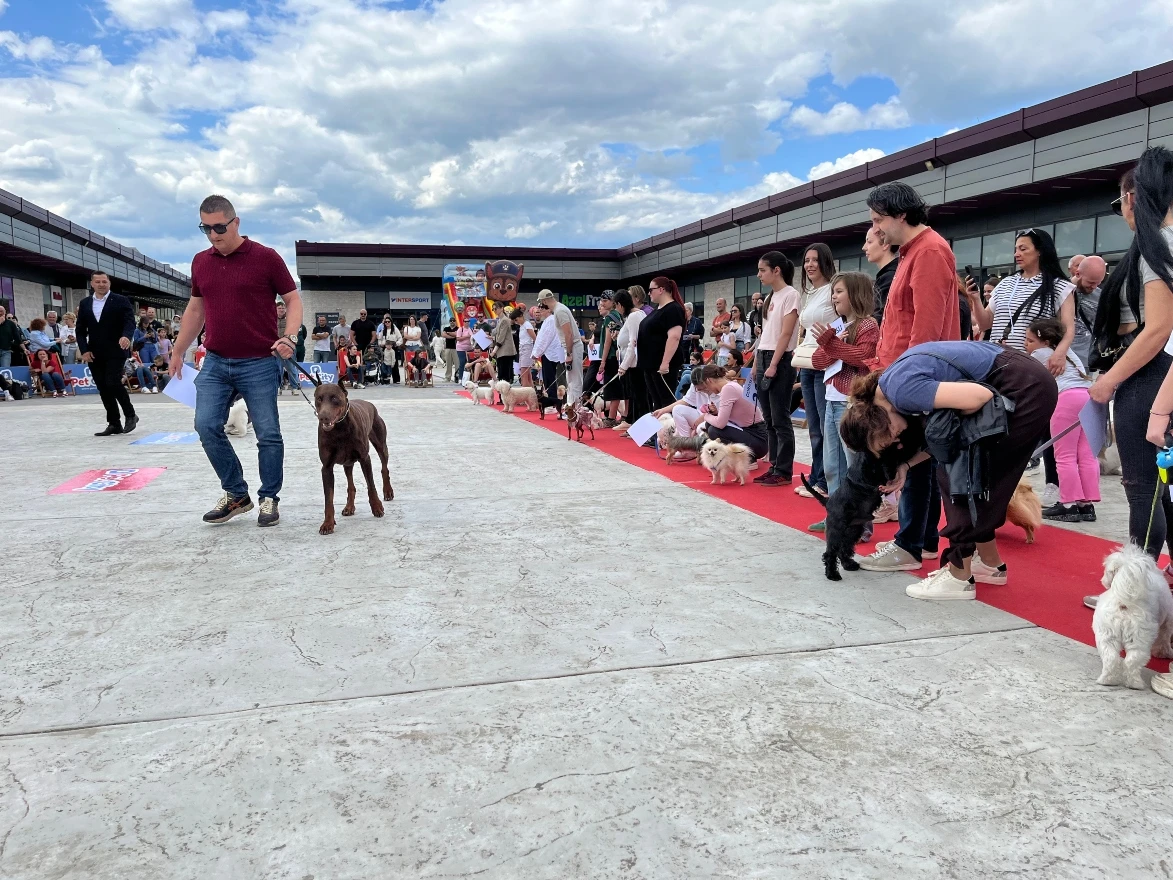 Revijalna izložba pasa u organizaciji Pet Cityja