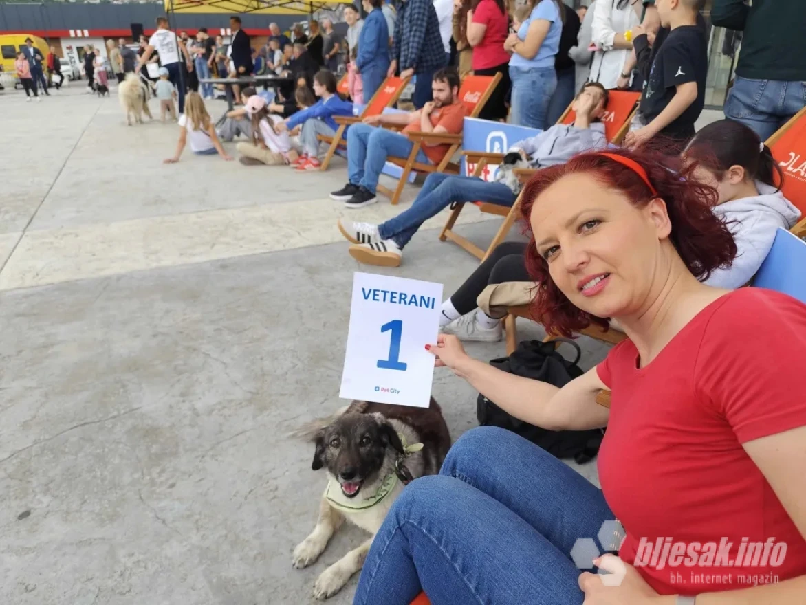 Revijalna izložba pasa u organizaciji Pet Cityija