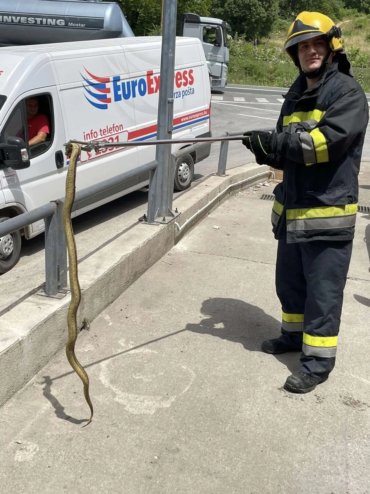 Vatrogasci uklanjali zmije na Rudniku i u Dubrovačkoj ulici