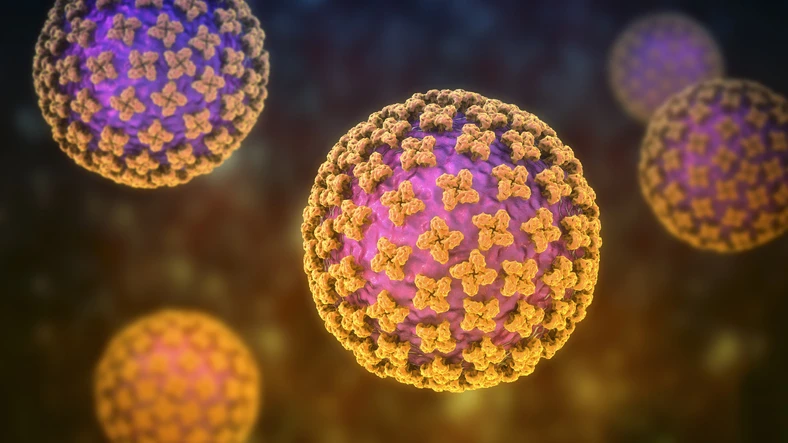 Francuska uvodi stroge mjere nakon što je državljanka pozitivna na hantavirus