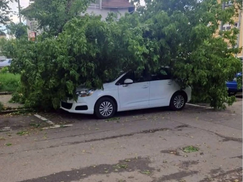 Nevrijeme i u Banja Luci, stablo palo na automobil