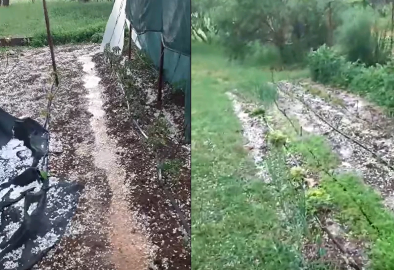 VIDEO | Jako nevrijeme "tutnjalo" Hercegovinom, velike štete poljoprivredi