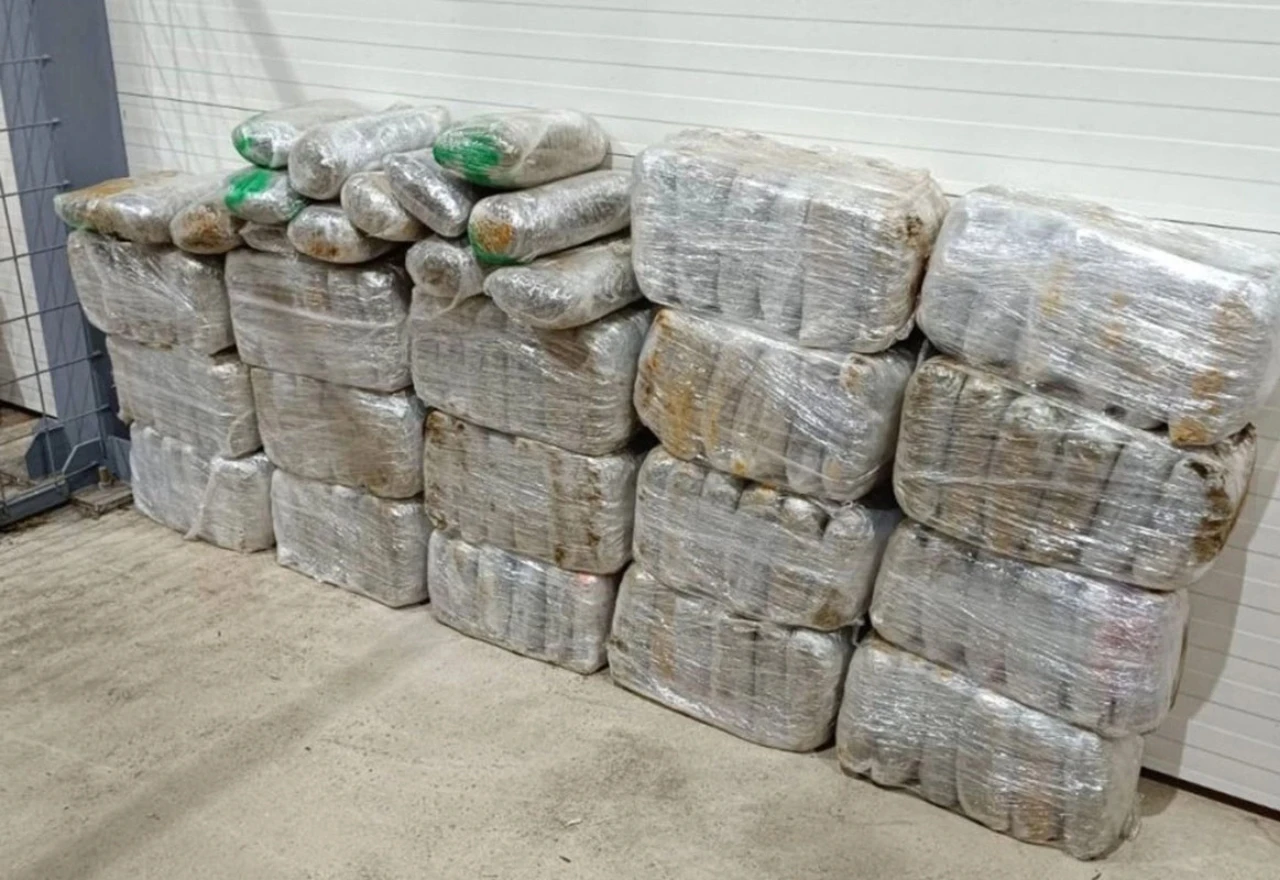 "Pao" s gotovo 124 kilograma marihuane