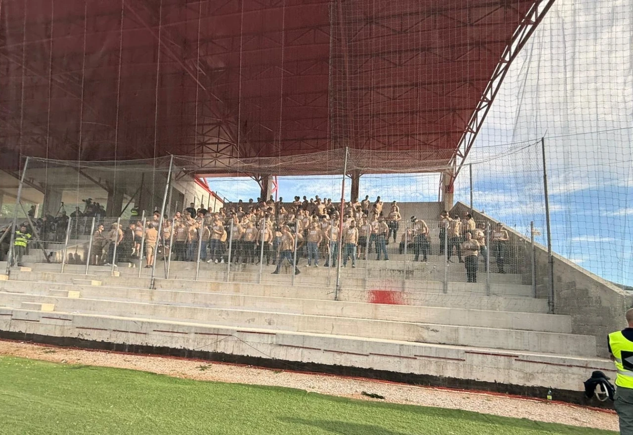 Ultrasi u svom sektoru