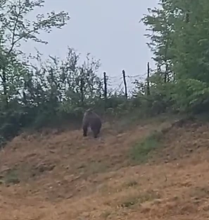 Medo se spustio do kuća u Bugojnu: "Ovo postaje svakodnevica, ali do kada…"