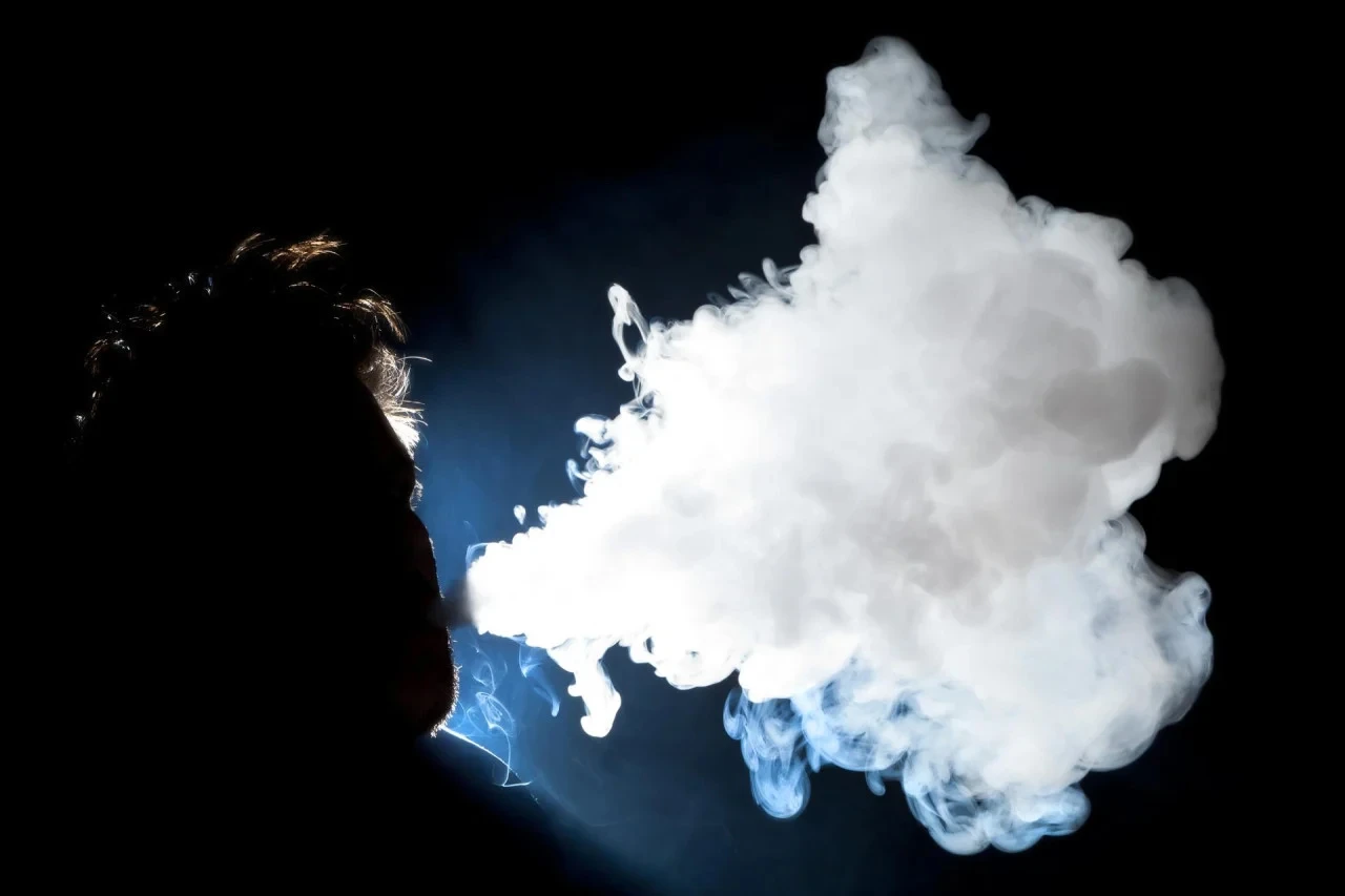 Kancerogene su, pune teških metala i herbicida, a uvjeravali su nas kako su sigurne
