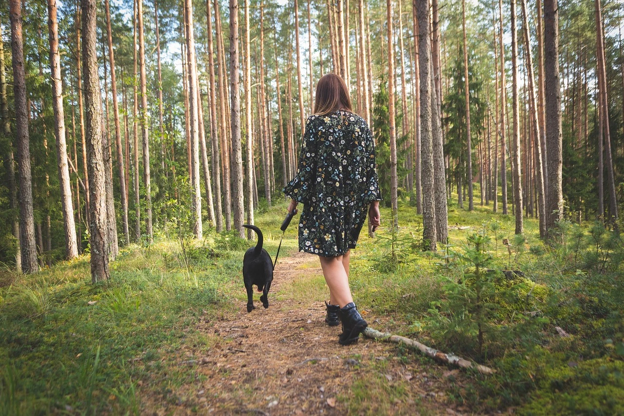 Može li hodanje doista otopiti masnoću na trbuhu?